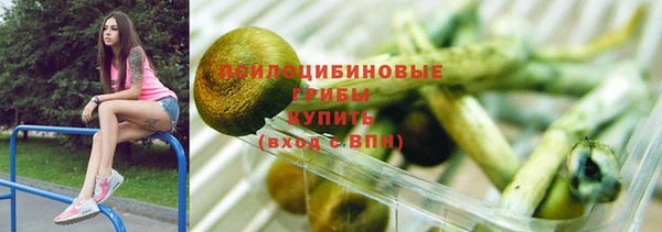 молекула духа Алексеевка