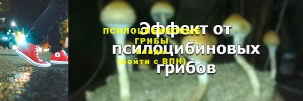 молекула духа Алексеевка