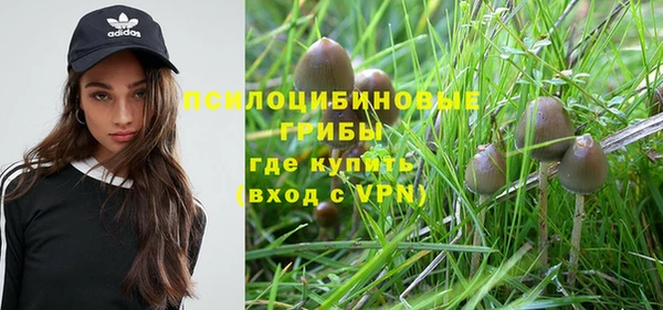гидра Алзамай