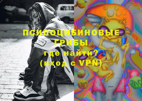 молекула духа Алексеевка