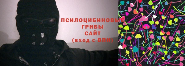 молекула духа Алексеевка
