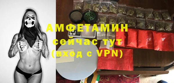 молекула духа Алексеевка