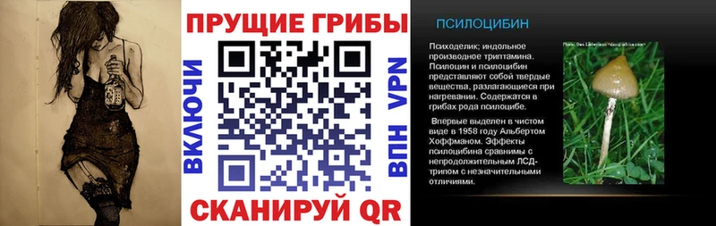 Псилоцибиновые грибы MAGIC MUSHROOMS  Карпинск 